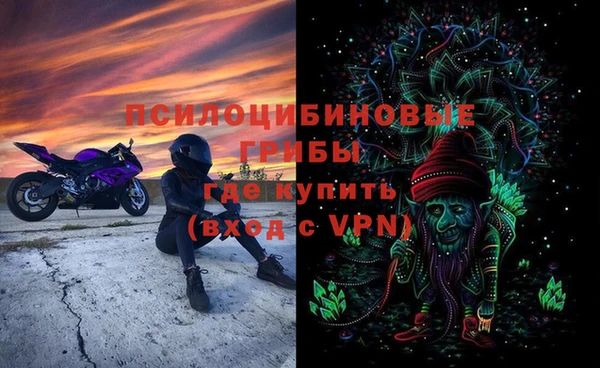 стафф Белокуриха